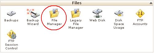 آپلود فایل توسط File Manager در کنترل پنل cPanel (سی پنل)